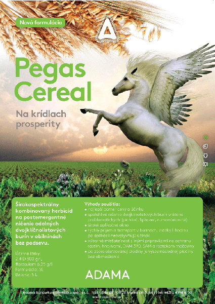 PEGAS CEREAL